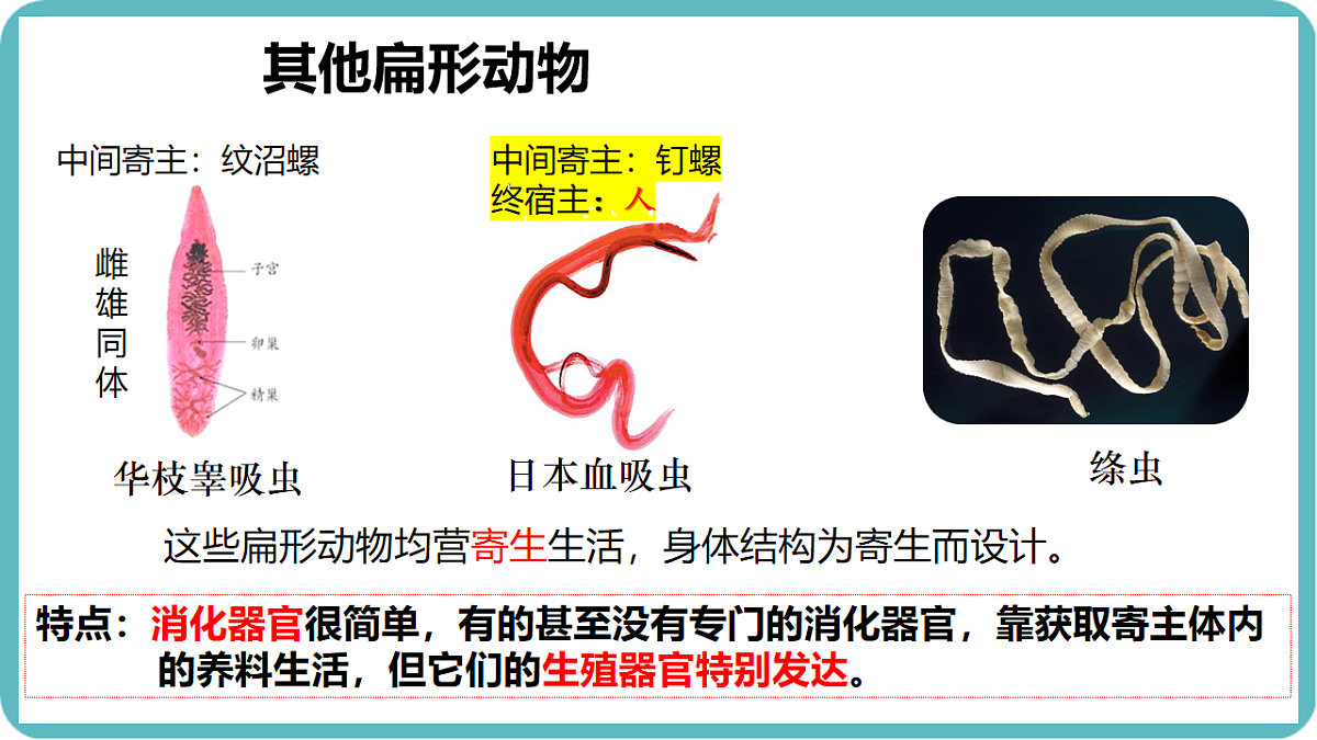 17599182第8页