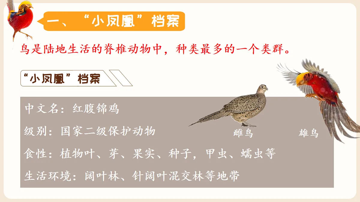 17599219第3页