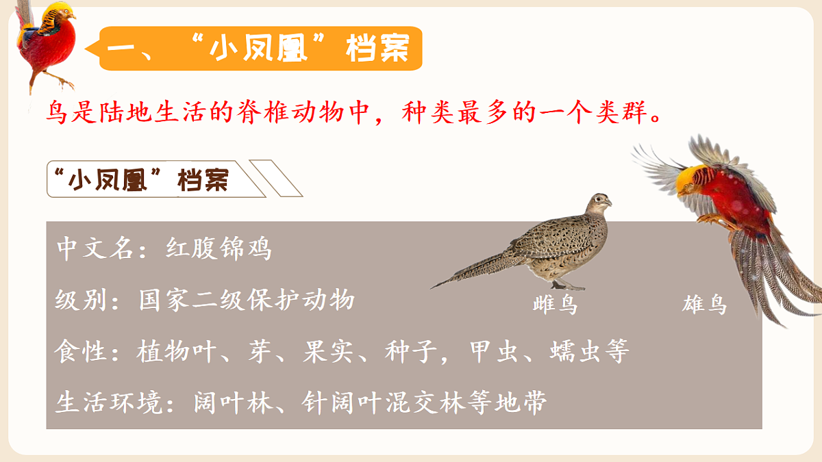 17599219第3页