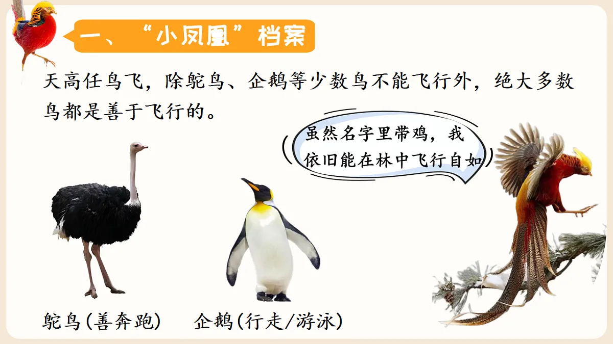 17599219第4页