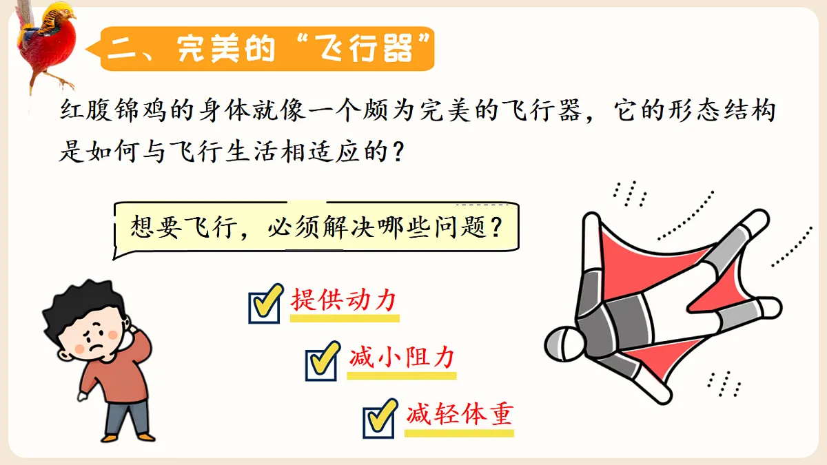17599219第5页