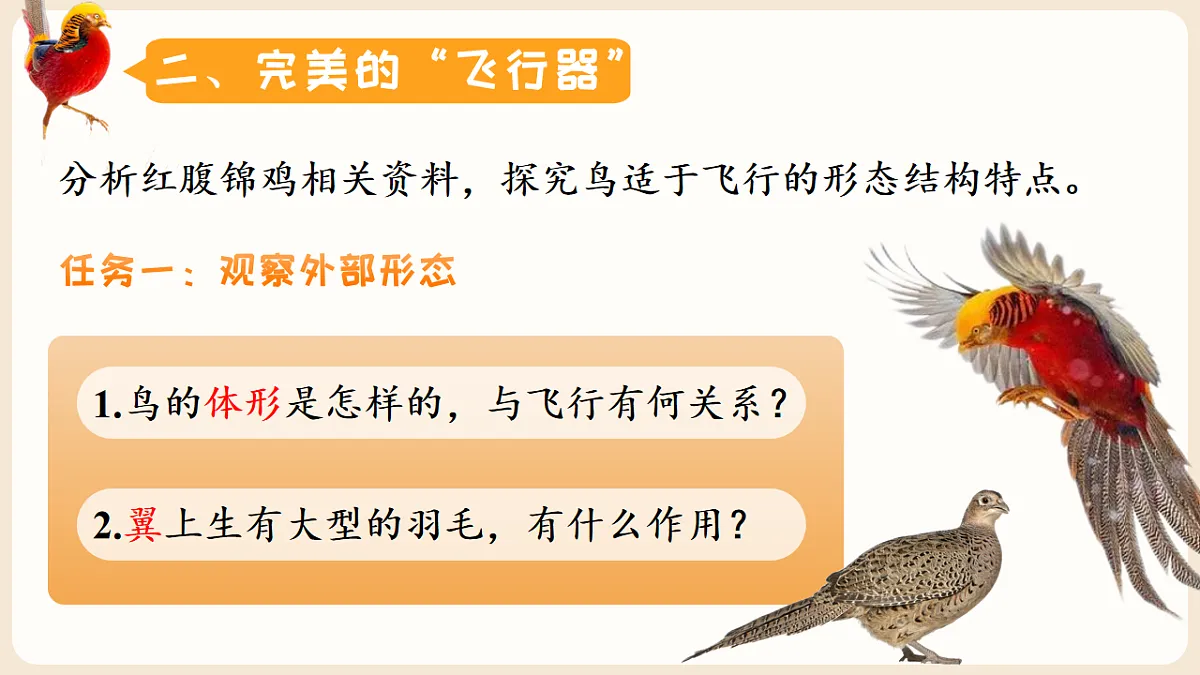 17599219第6页