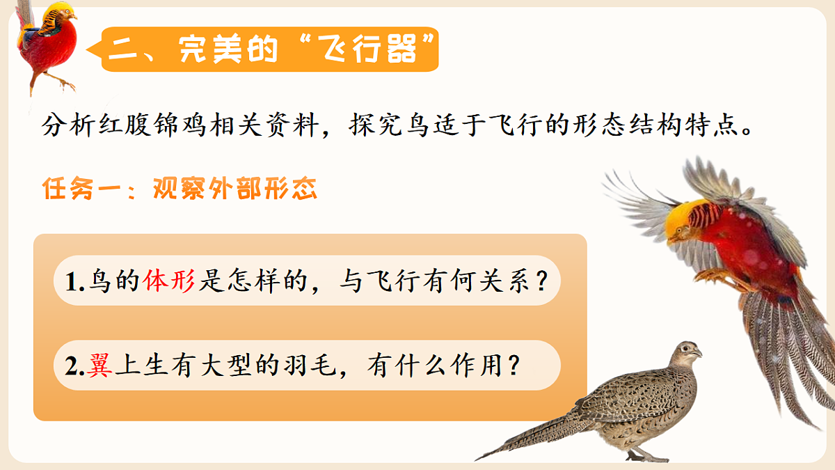 17599219第6页