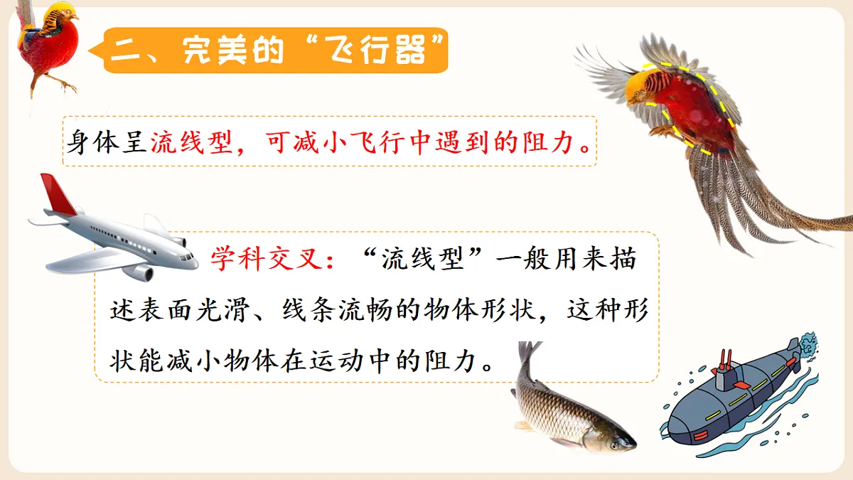 17599219第7页