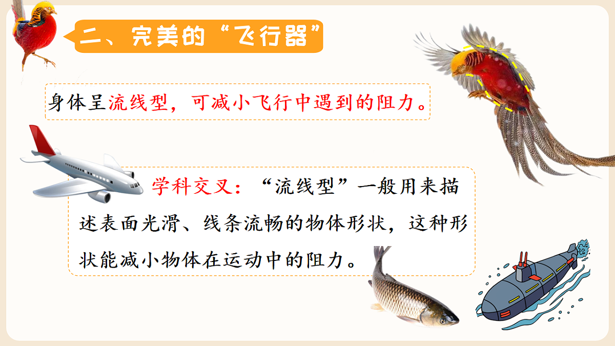 17599219第7页
