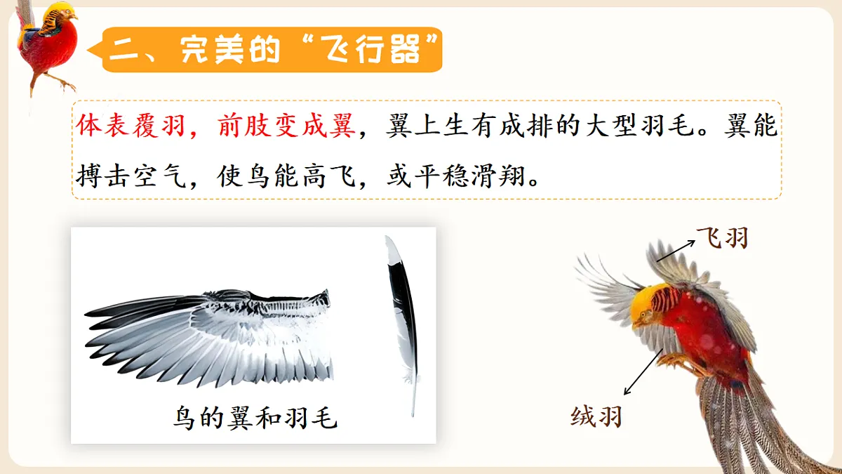17599219第8页