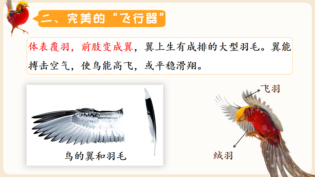 17599219第8页