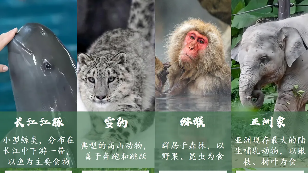 17599220第5页