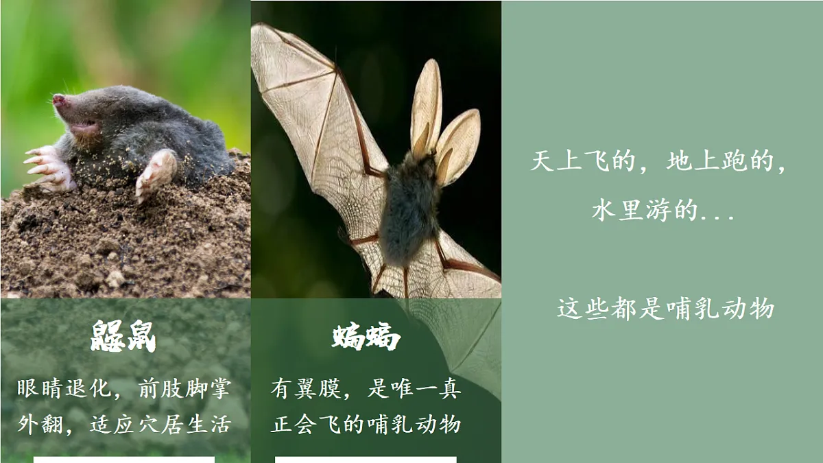 17599220第6页