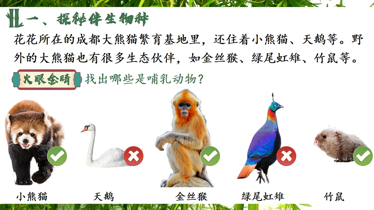 17599220第7页