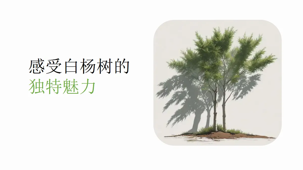 17599324第3页