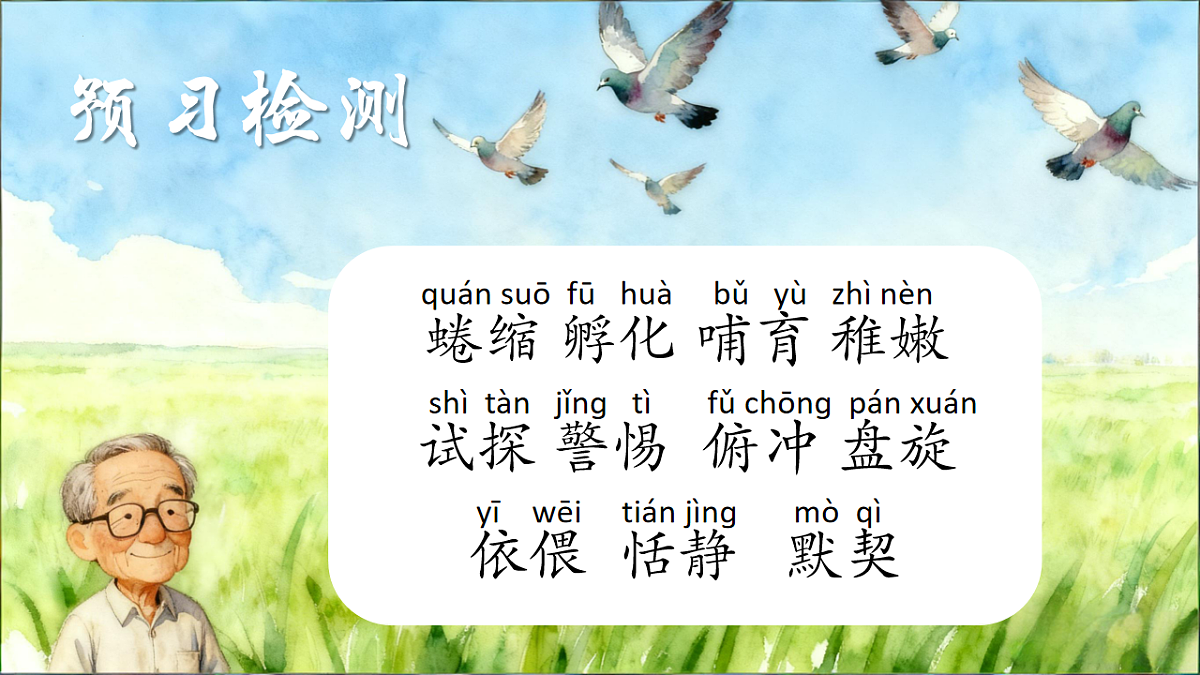 17599396第8页