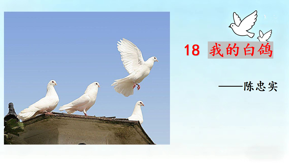 17599397第1页