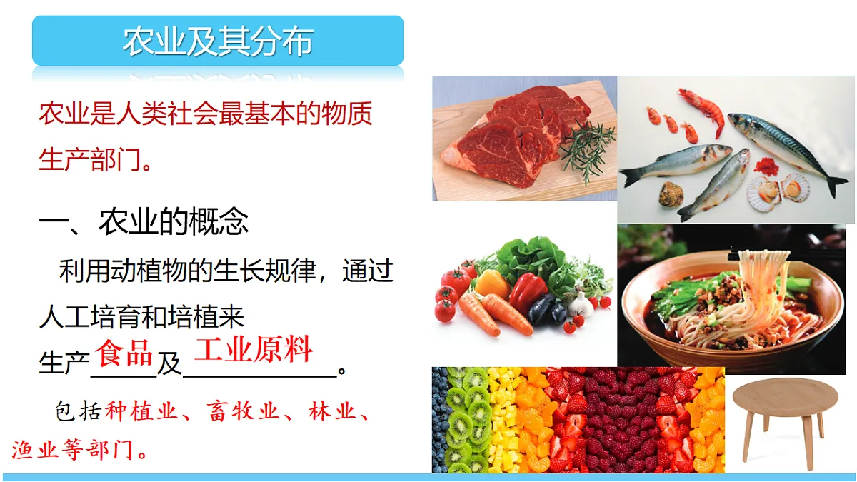 17599518第5页