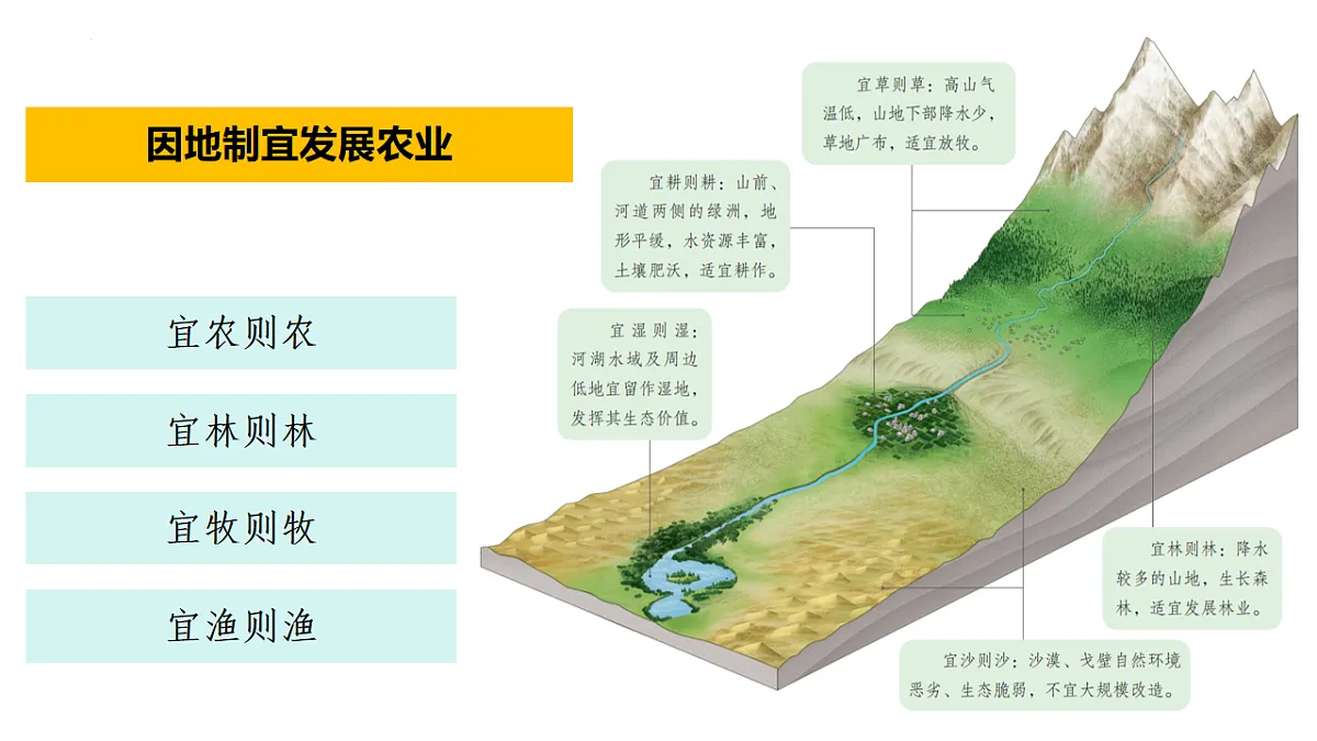 17599519第5页
