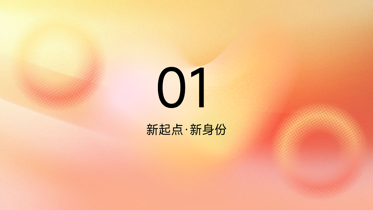 17600013第3页