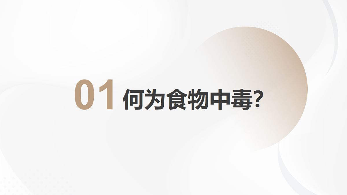 17602848第4页