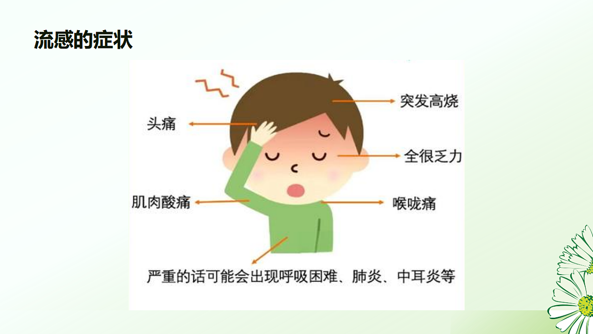 17603009第5页