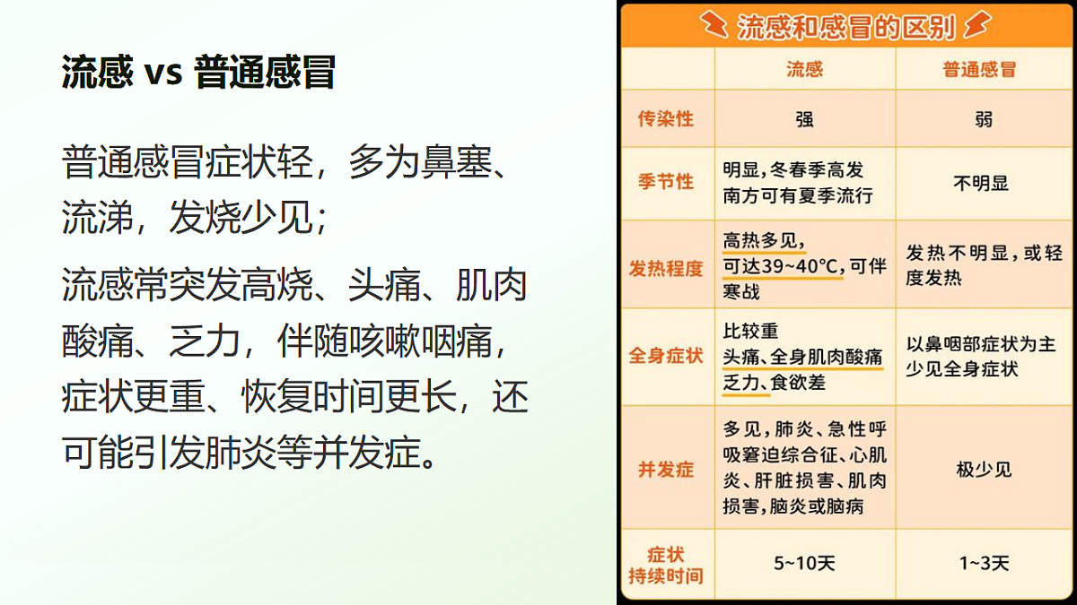 17603009第7页