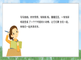 辽海版小学美术五下  11《彩纸粘贴》课件