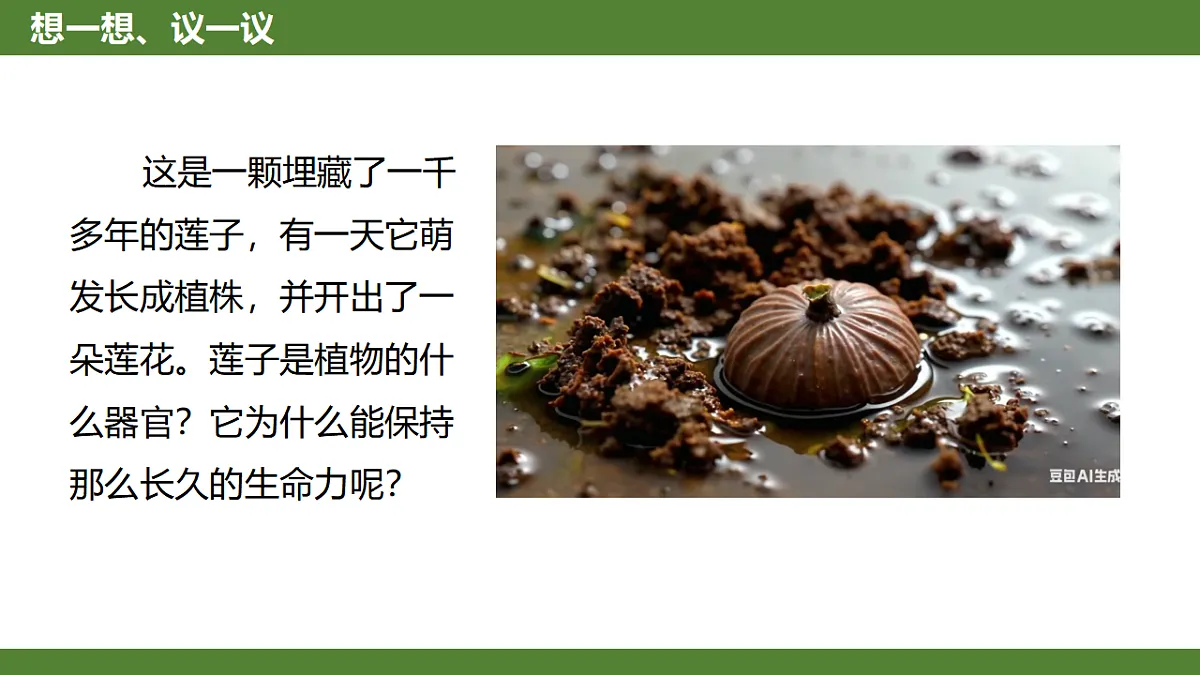 《种子植物》第2页