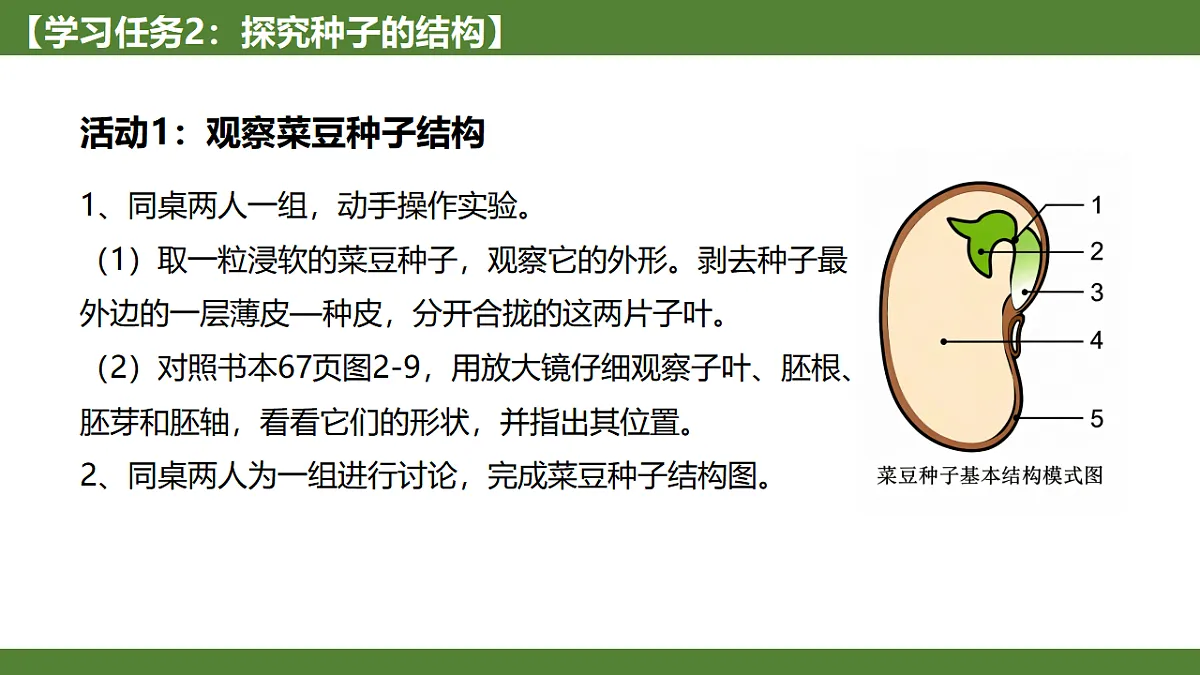 《种子植物》第5页