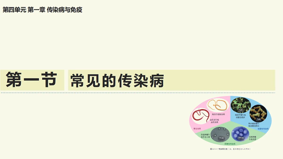 17603772第1页