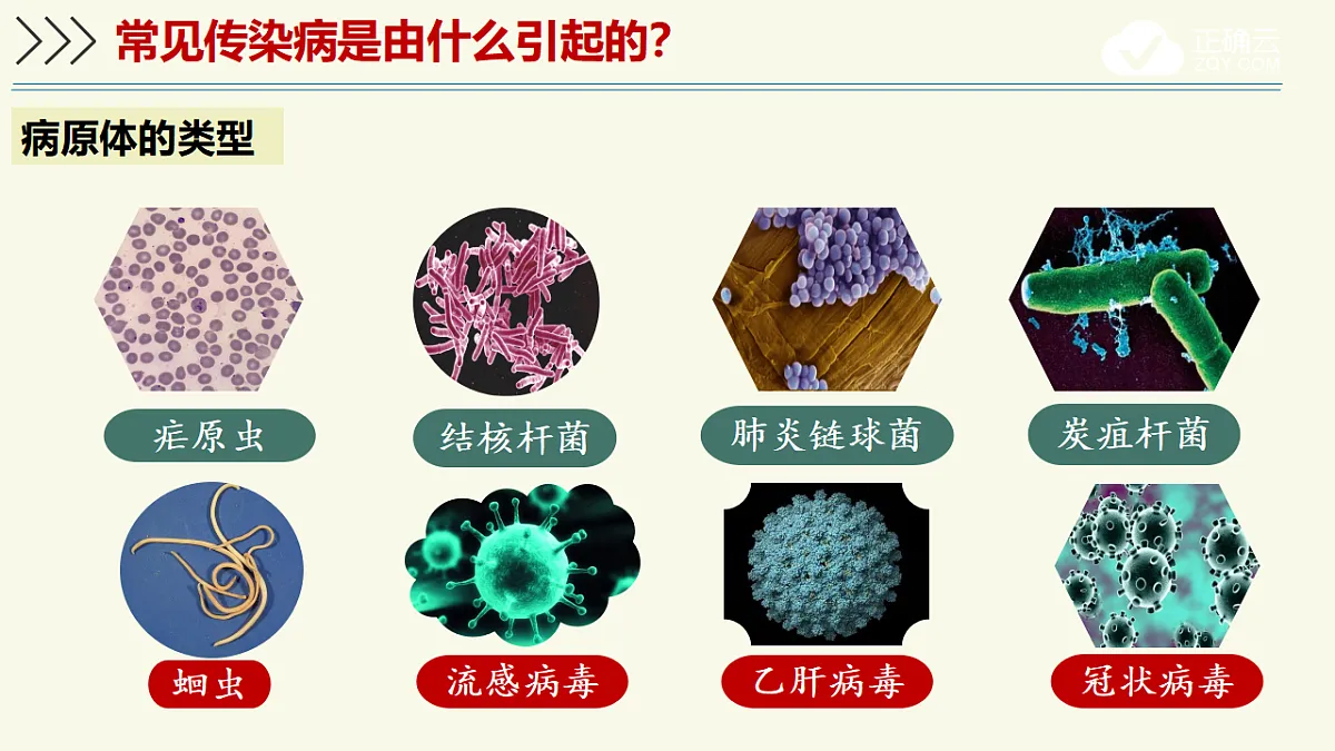 17603772第7页