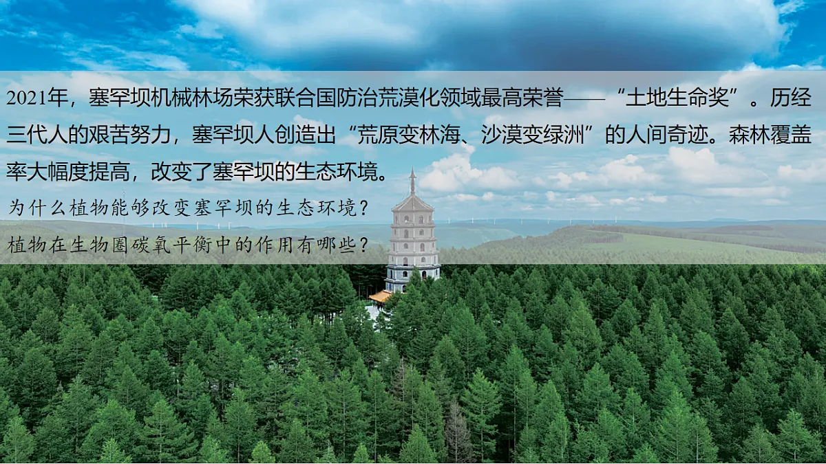17603785第2页