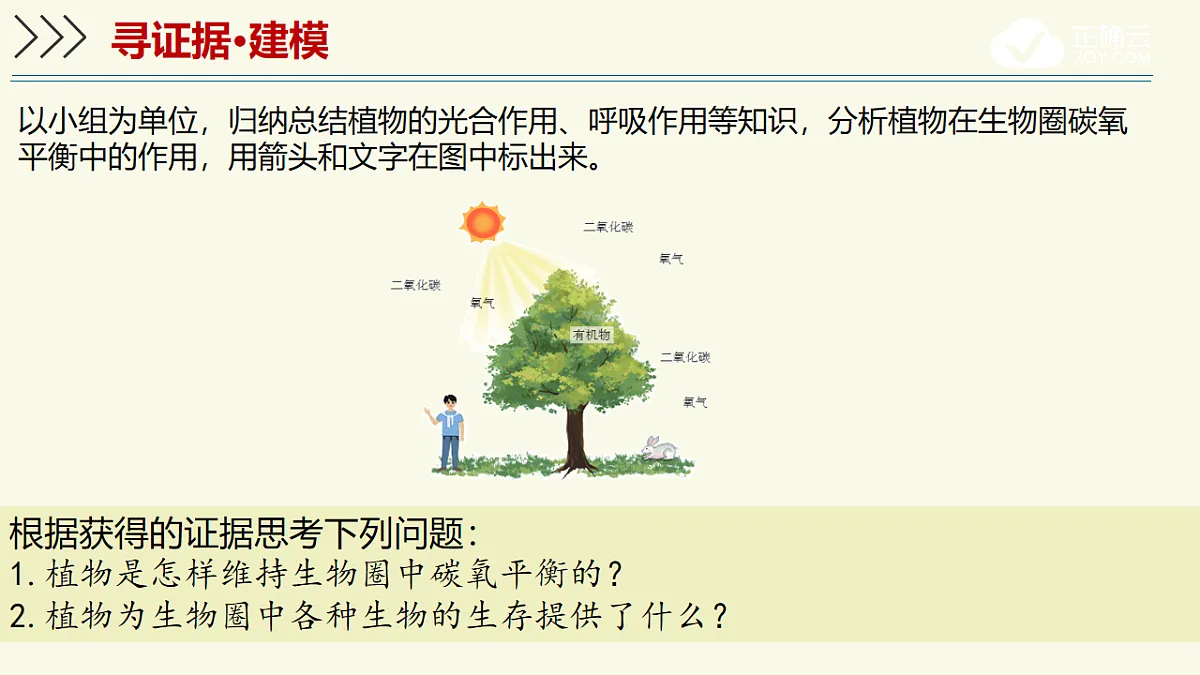 17603785第3页