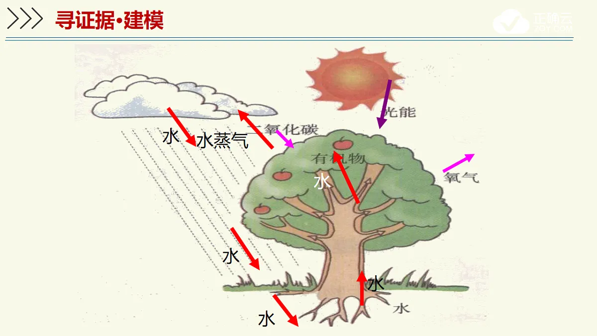 17603785第4页
