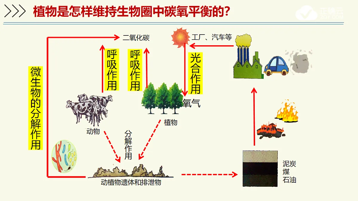 17603785第6页