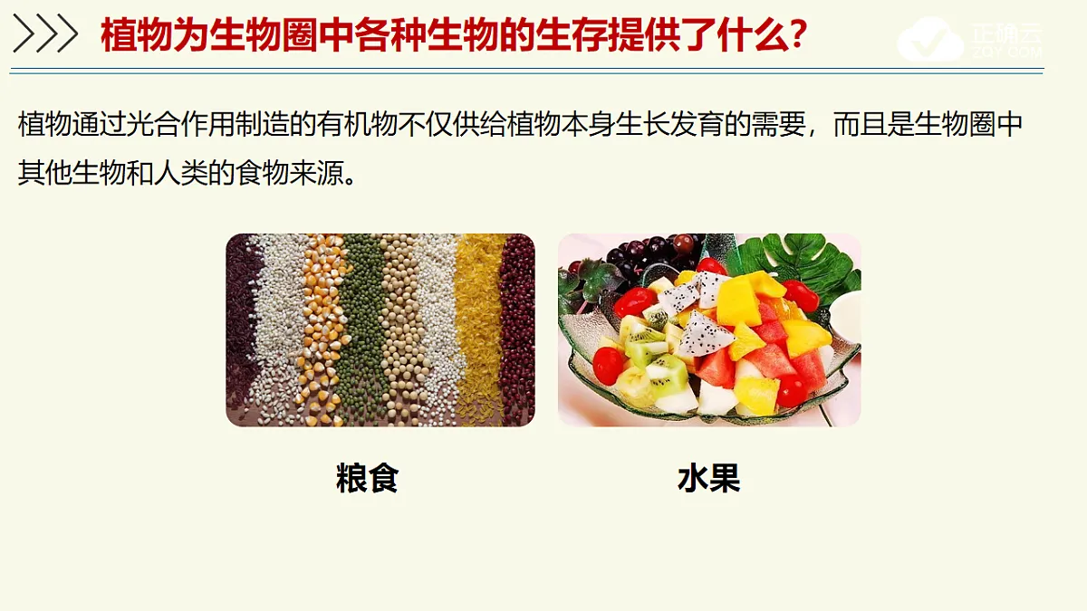 17603785第7页