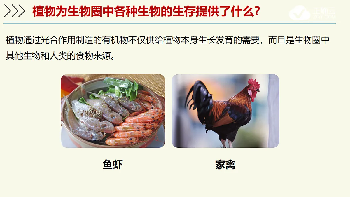 17603785第8页