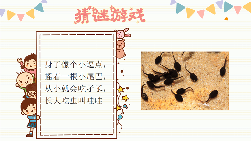 17604909第2页