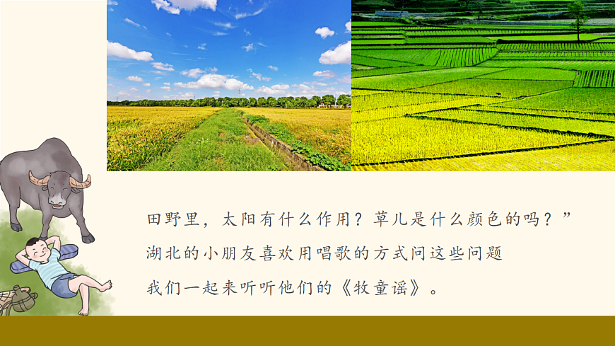 17604914第2页