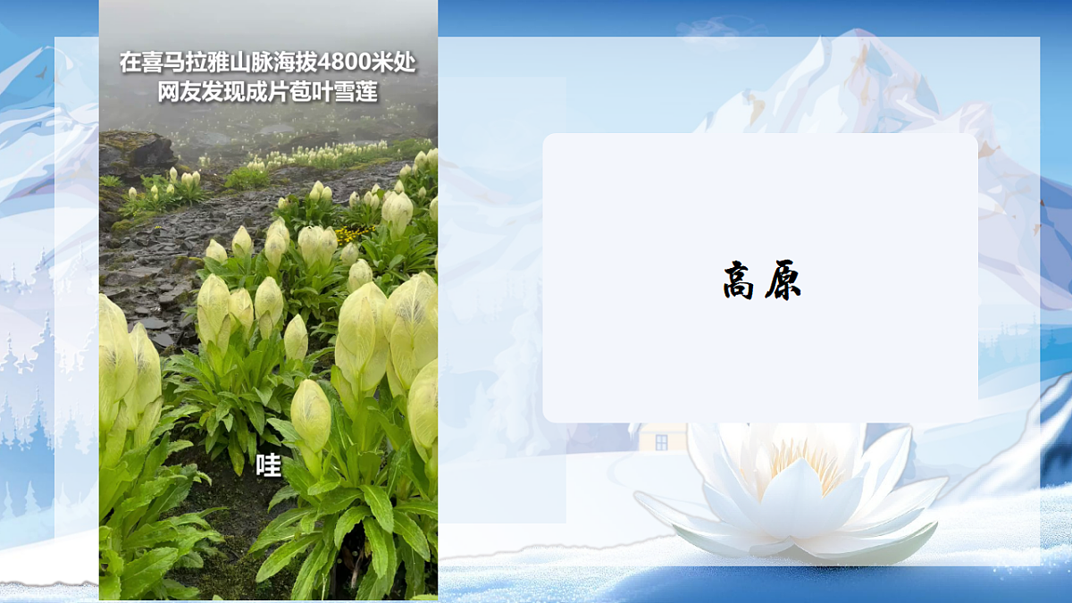 17604920第6页