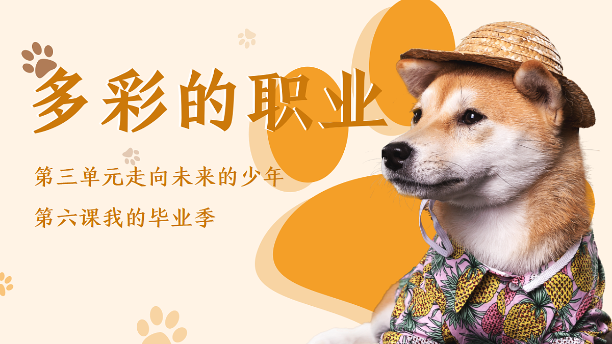 17606697第2页