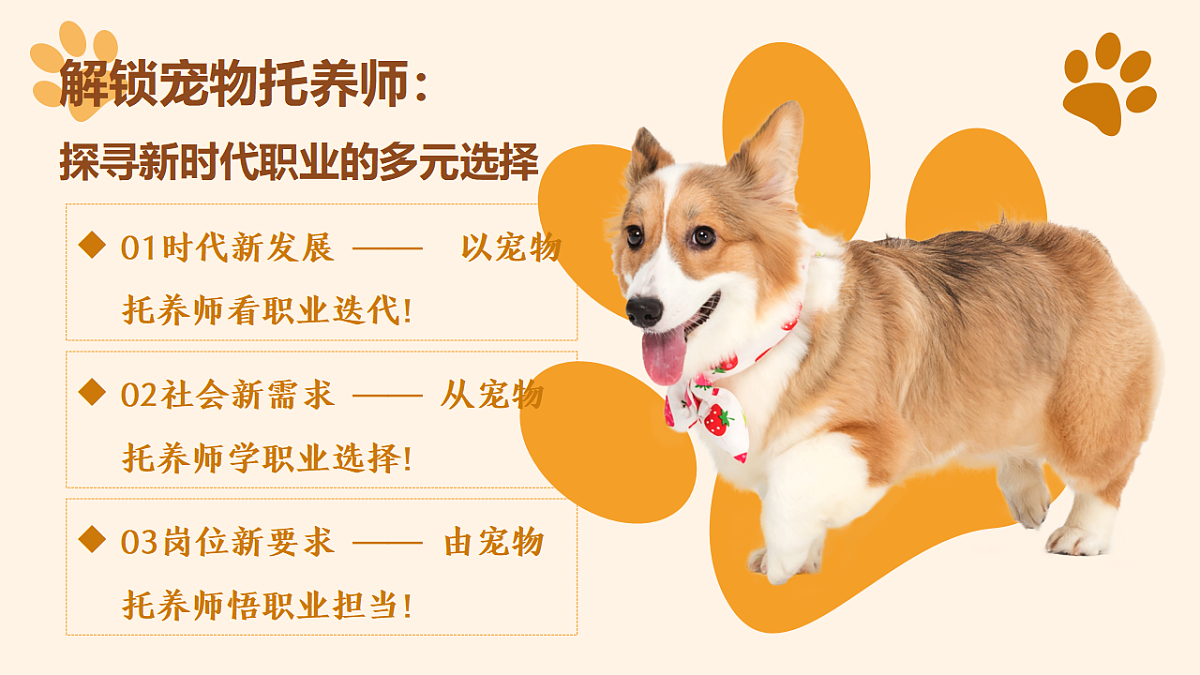 17606697第4页