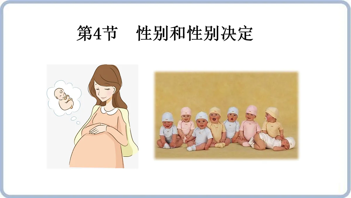 17606818第1页