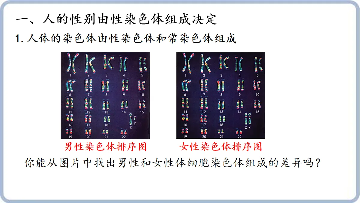 17606818第3页