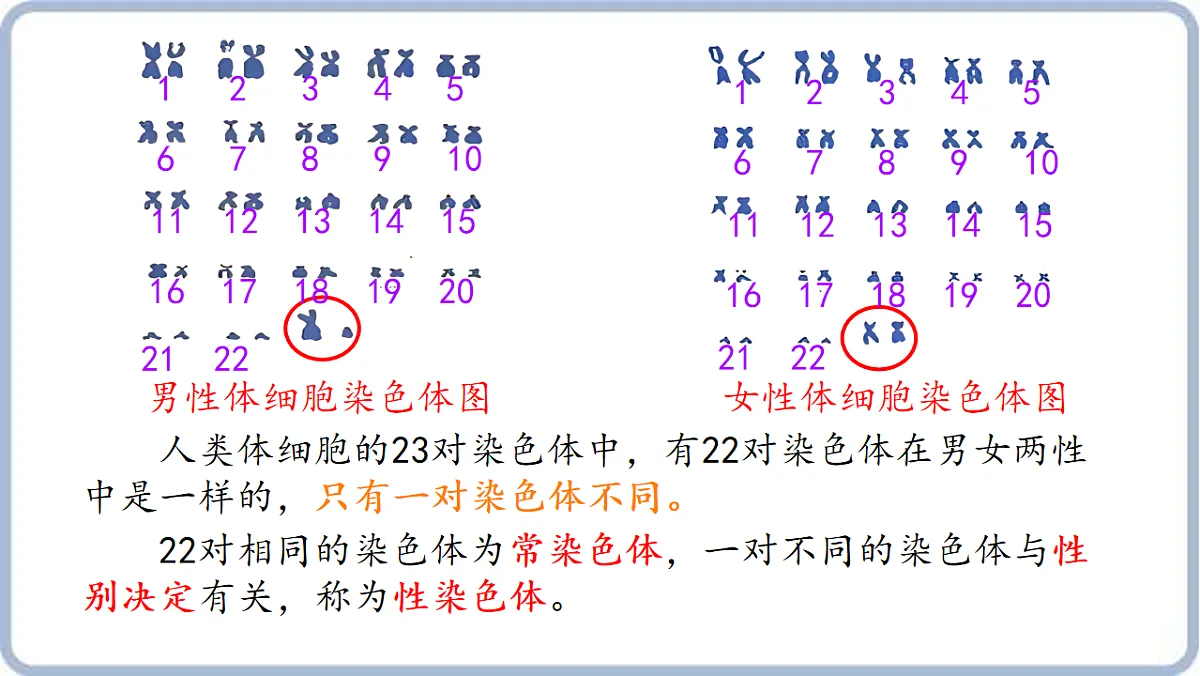 17606818第4页