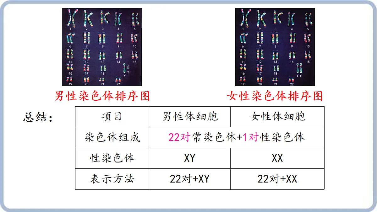 17606818第6页