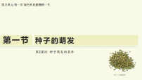 生物八年级上册（2024）二、种子萌发的条件教学课件ppt