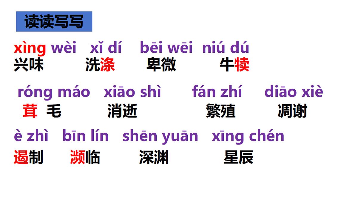 17607649第7页