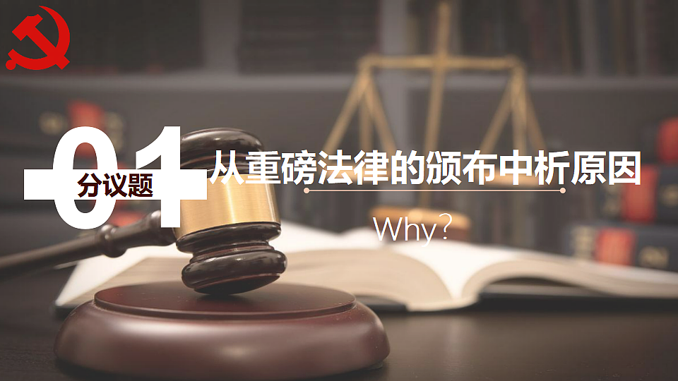 17607944第4页