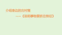 初中语文人教部编版（2024）八年级上册（2024）写作 说明事物要抓住特征教课内容ppt课件