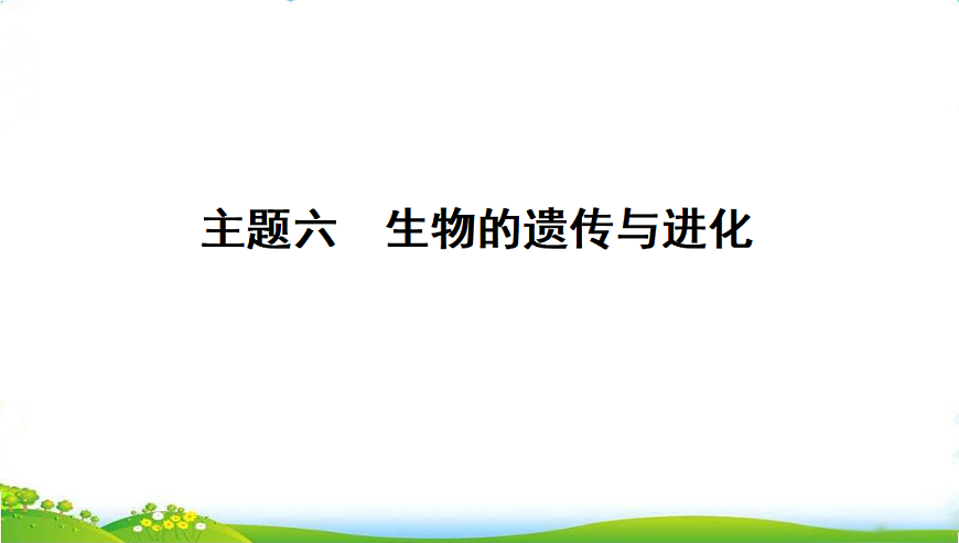17608896第1页