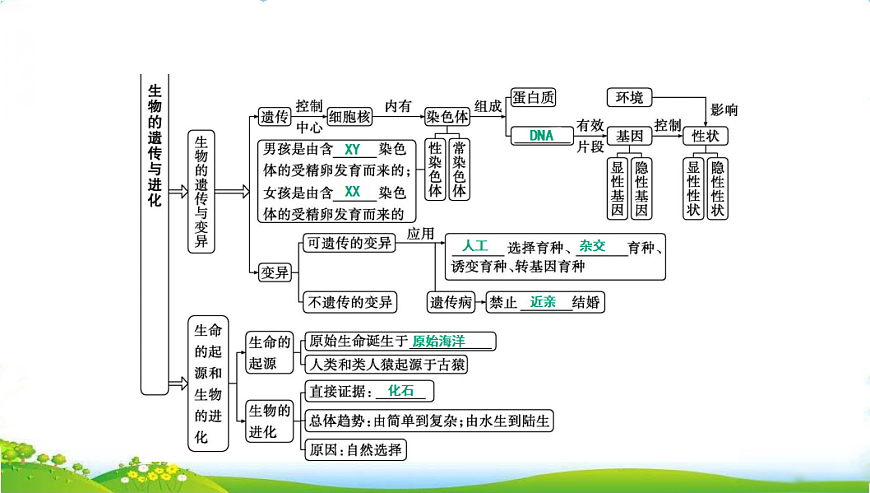 17608896第3页