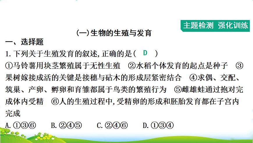 17608896第4页